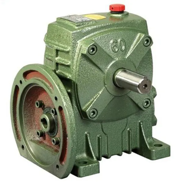 Hvordan omformer Worm Gearbox drevlogikken for kultransportører?